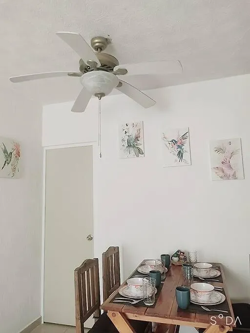Depa Colibri Cancun, A/A Y Wi-Fi, En Planta Baja. Apartment